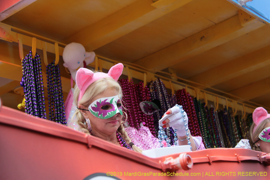 Krewe-of-Iris-2019-006382