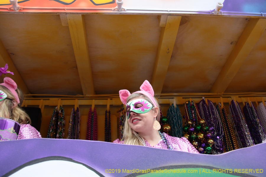 Krewe-of-Iris-2019-006386