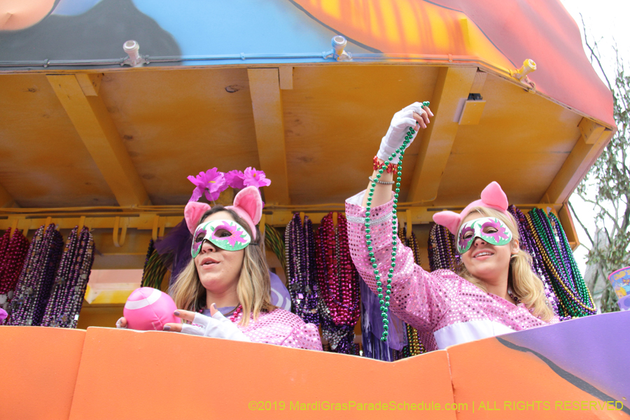 Krewe-of-Iris-2019-006388