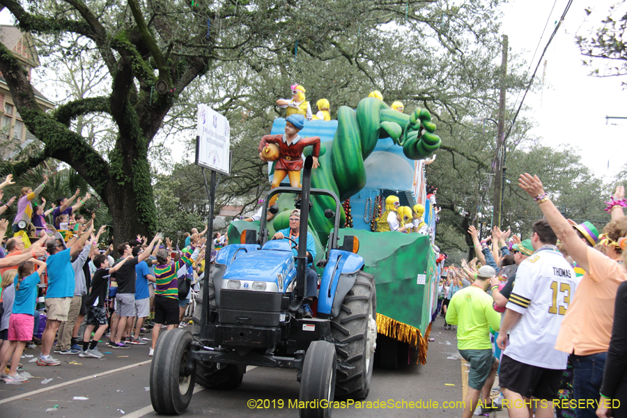 Krewe-of-Iris-2019-006393