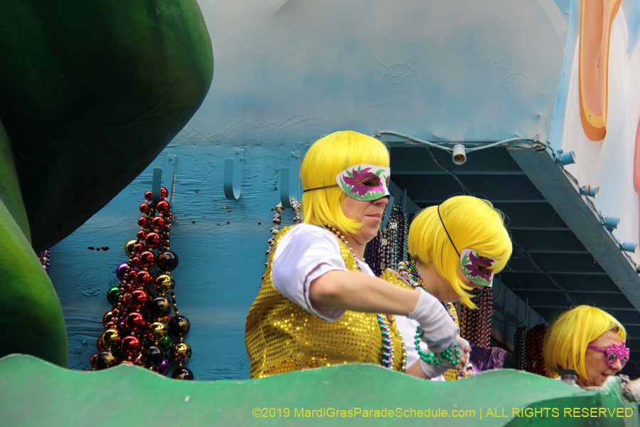 Krewe-of-Iris-2019-006394