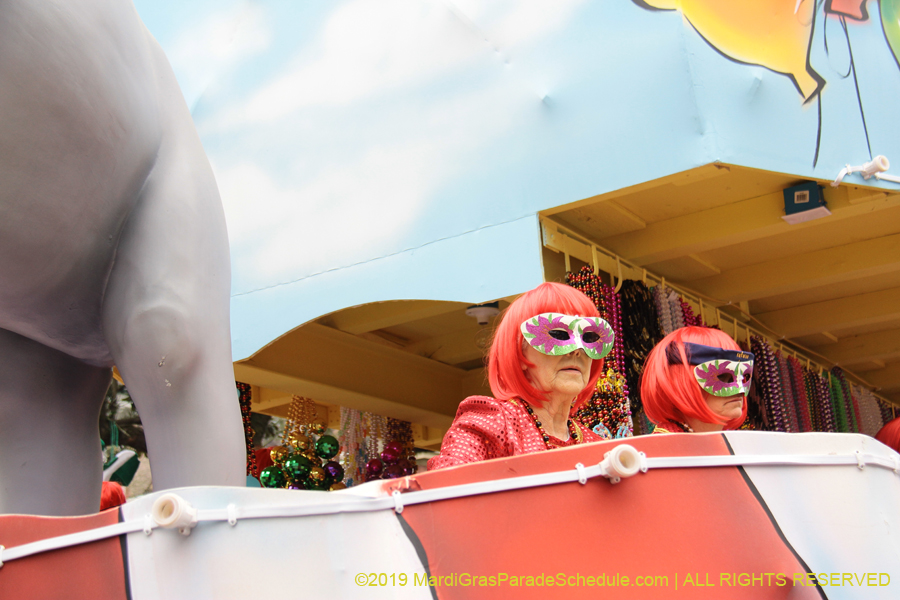 Krewe-of-Iris-2019-006407