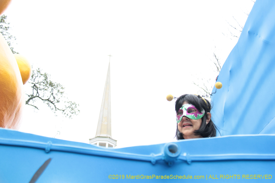 Krewe-of-Iris-2019-006414