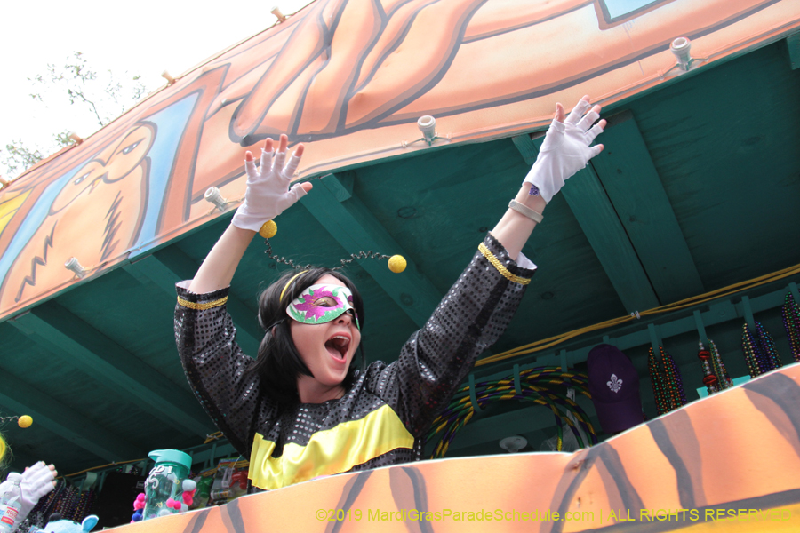 Krewe-of-Iris-2019-006417