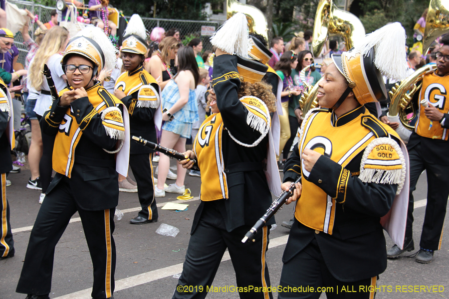 Krewe-of-Iris-2019-006421