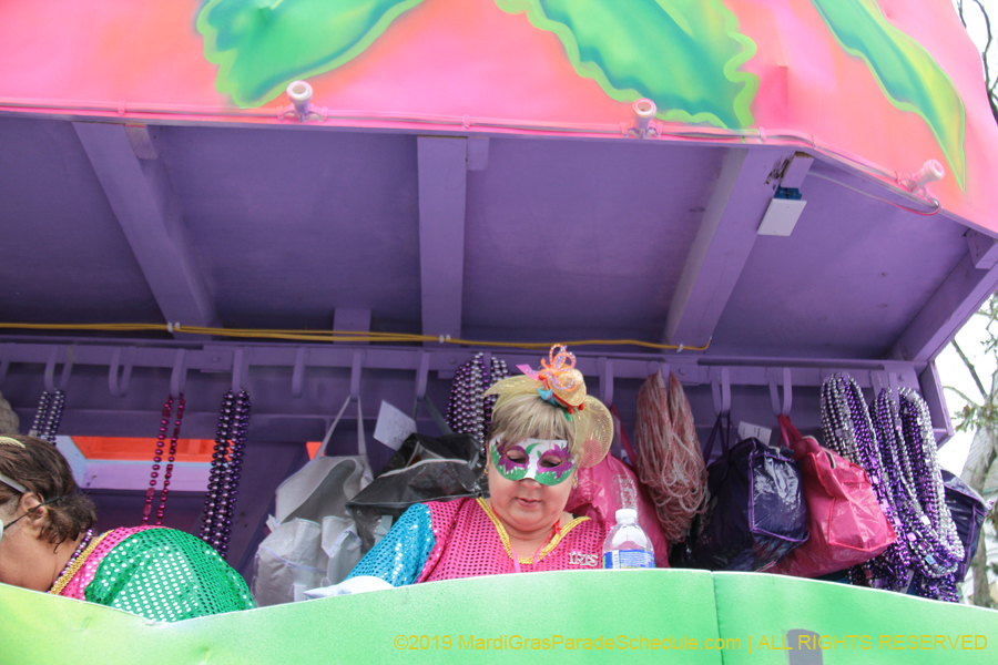 Krewe-of-Iris-2019-006427