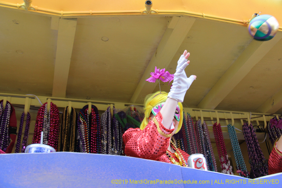 Krewe-of-Iris-2019-006443