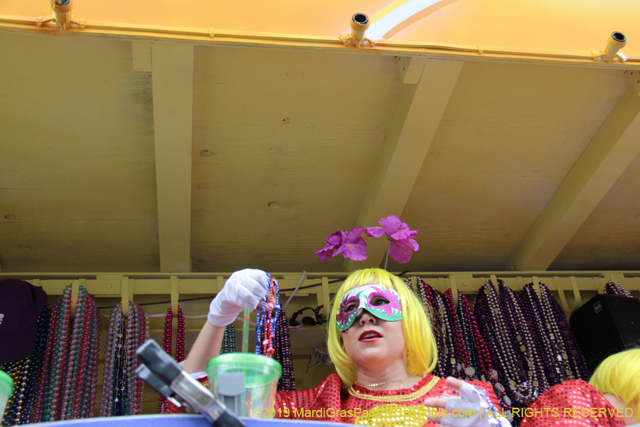 Krewe-of-Iris-2019-006444