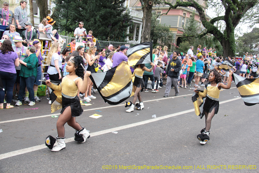 Krewe-of-Iris-2019-006449