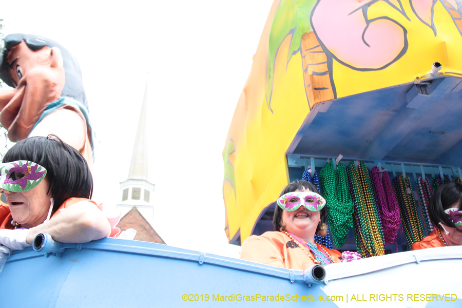 Krewe-of-Iris-2019-006452