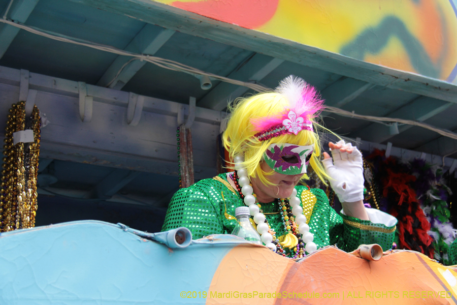 Krewe-of-Iris-2019-006479