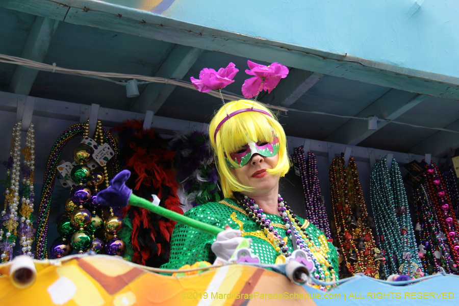 Krewe-of-Iris-2019-006480