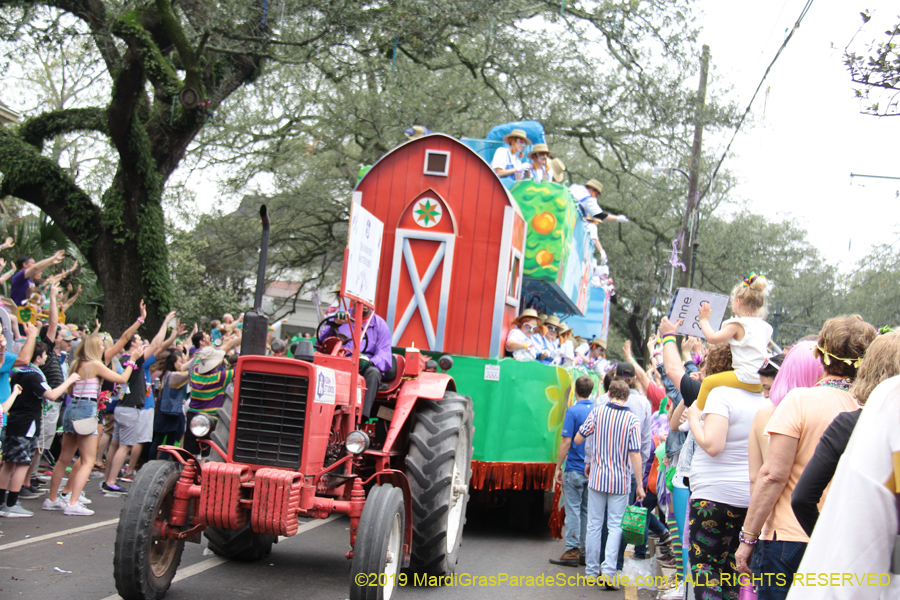 Krewe-of-Iris-2019-006488