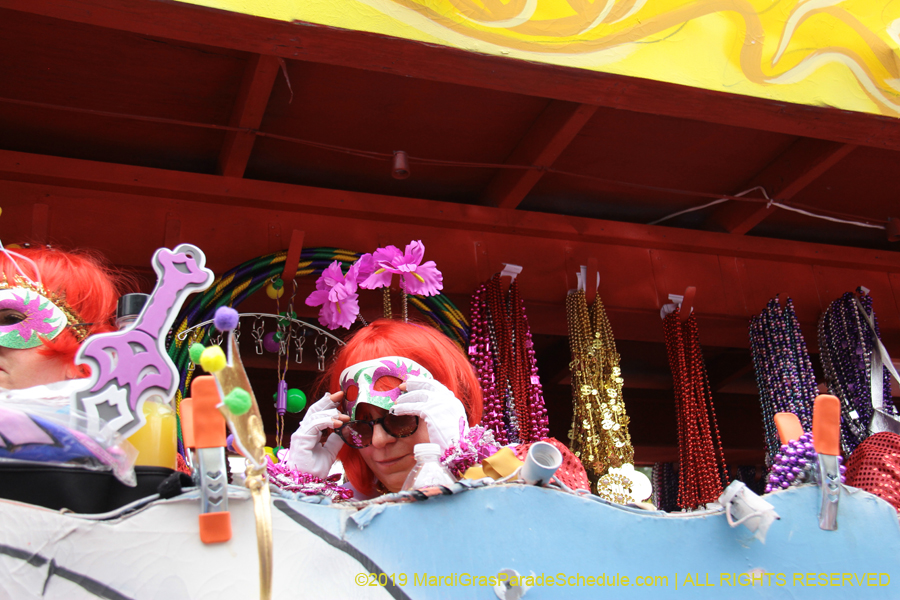 Krewe-of-Iris-2019-006521