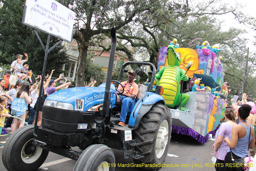 Krewe-of-Iris-2019-006528