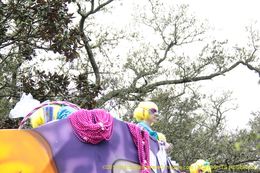 Krewe-of-Iris-2019-006529