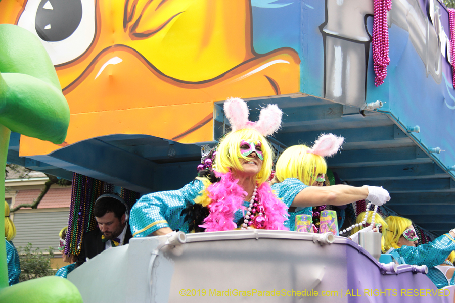 Krewe-of-Iris-2019-006530