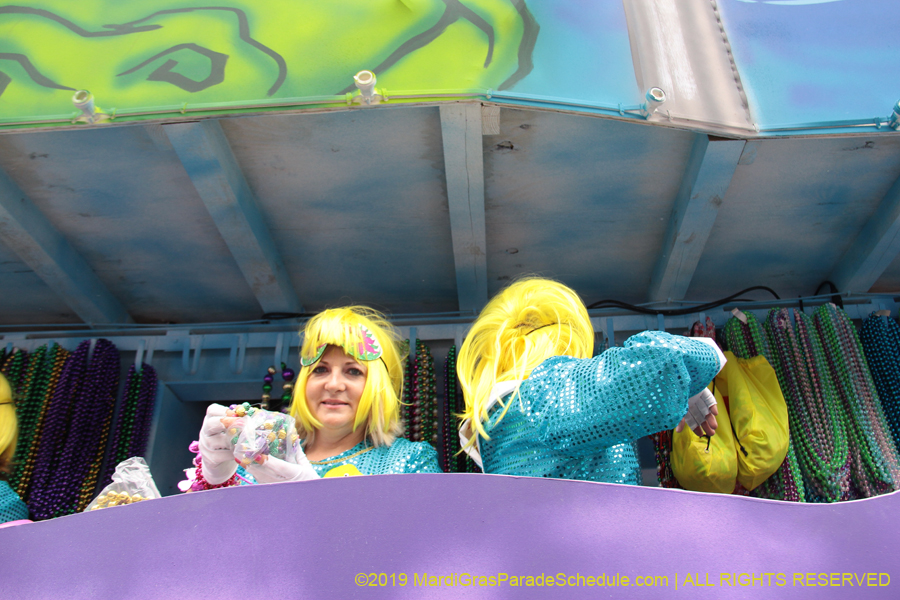 Krewe-of-Iris-2019-006534