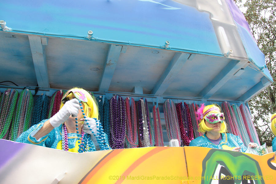 Krewe-of-Iris-2019-006535