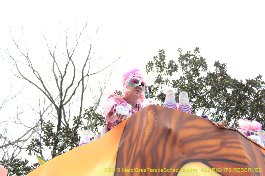 Krewe-of-Iris-2019-006537