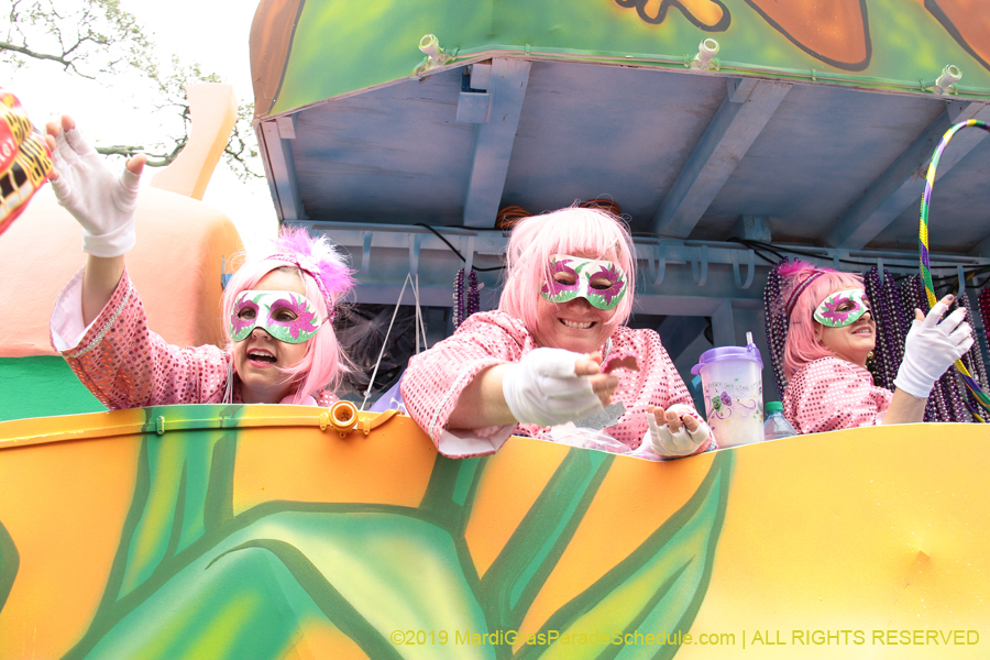 Krewe-of-Iris-2019-006538