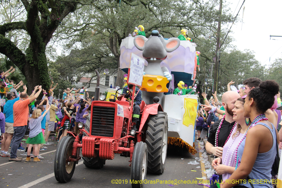 Krewe-of-Iris-2019-006547