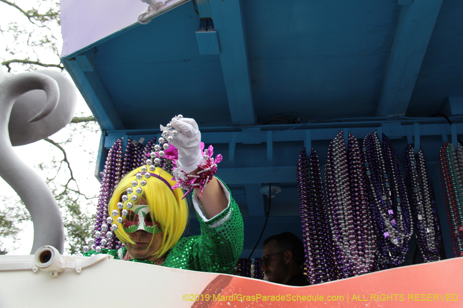 Krewe-of-Iris-2019-006548