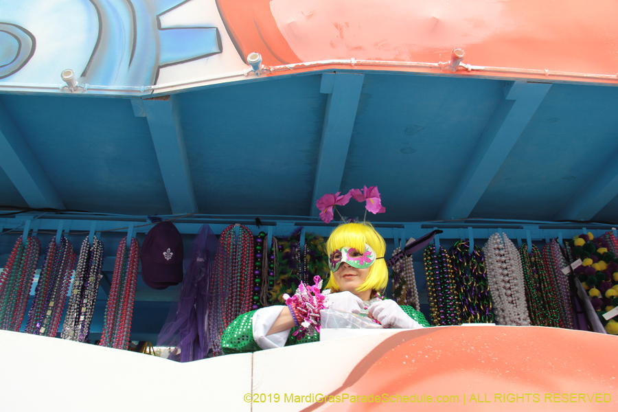 Krewe-of-Iris-2019-006550