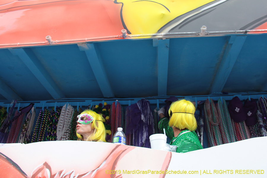 Krewe-of-Iris-2019-006551