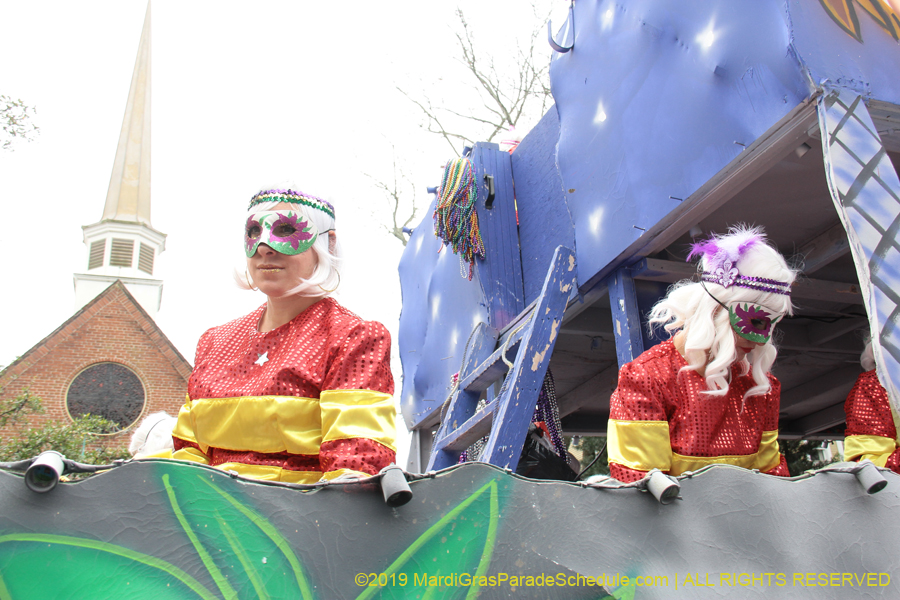 Krewe-of-Iris-2019-006556