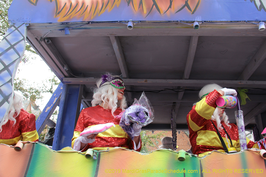 Krewe-of-Iris-2019-006557