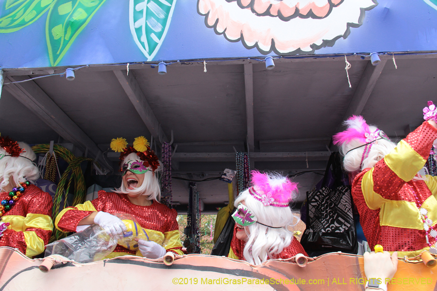 Krewe-of-Iris-2019-006561