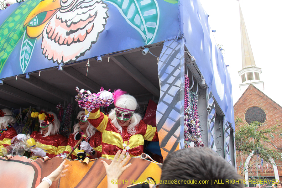 Krewe-of-Iris-2019-006562