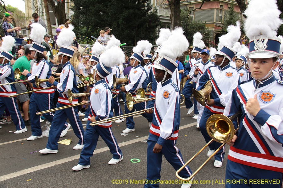 Krewe-of-Iris-2019-006564