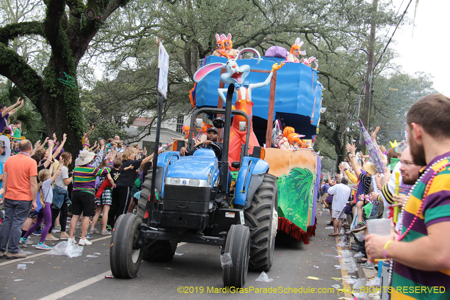 Krewe-of-Iris-2019-006566