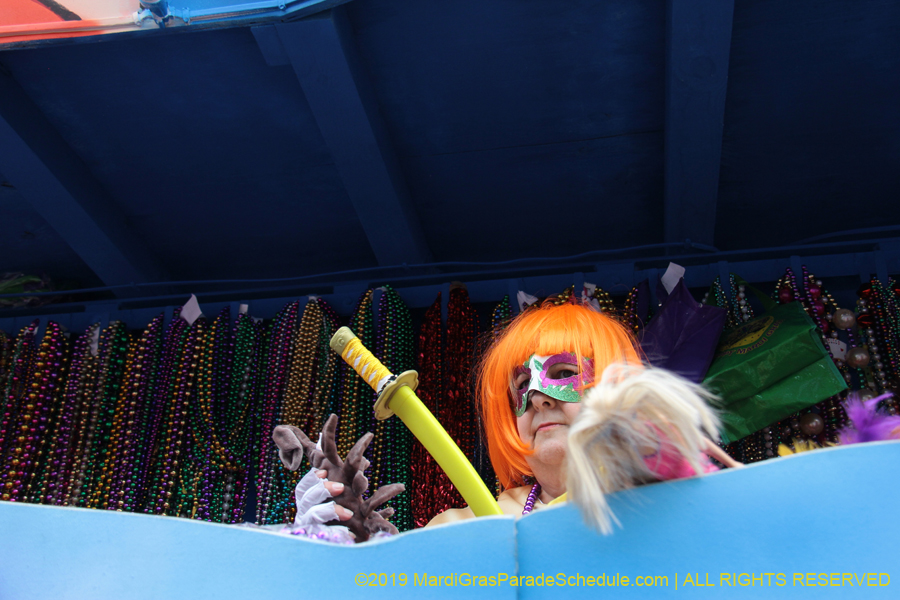 Krewe-of-Iris-2019-006570