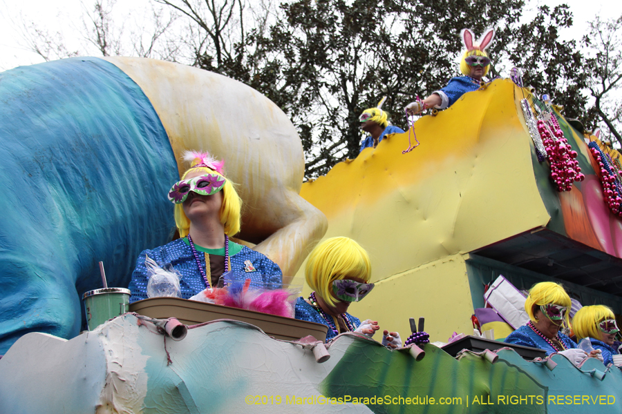 Krewe-of-Iris-2019-006576