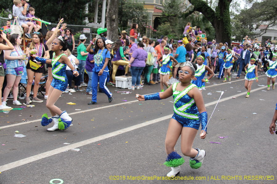 Krewe-of-Iris-2019-006584