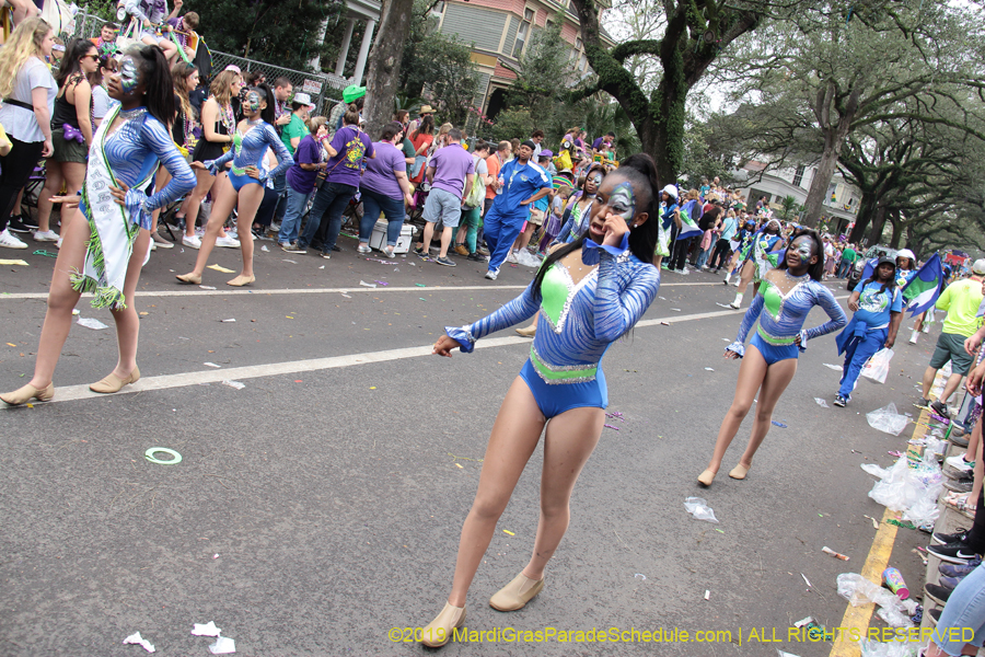 Krewe-of-Iris-2019-006587