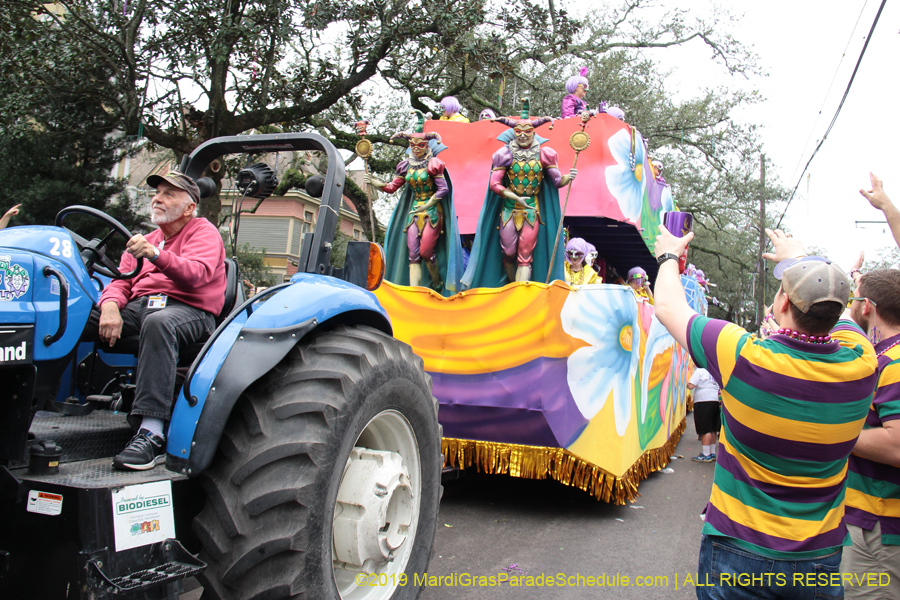 Krewe-of-Iris-2019-006590