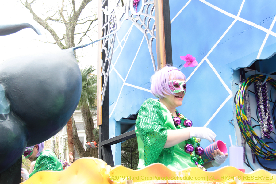 Krewe-of-Iris-2019-006598