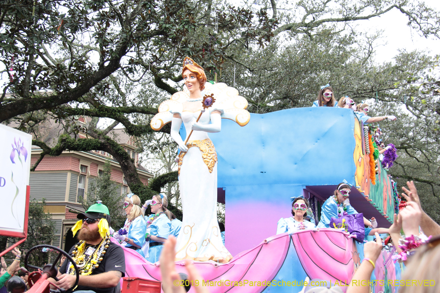 Krewe-of-Iris-2019-006609