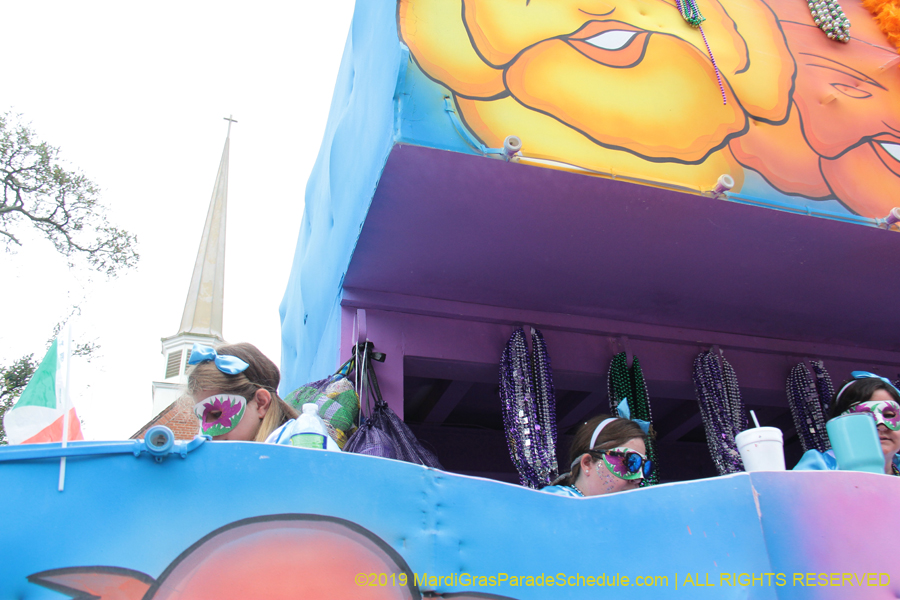 Krewe-of-Iris-2019-006612