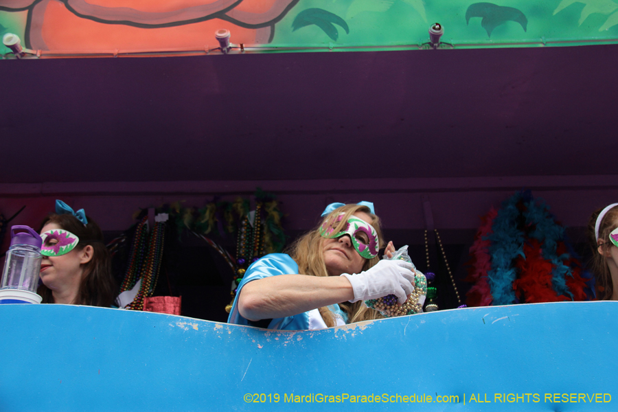 Krewe-of-Iris-2019-006617