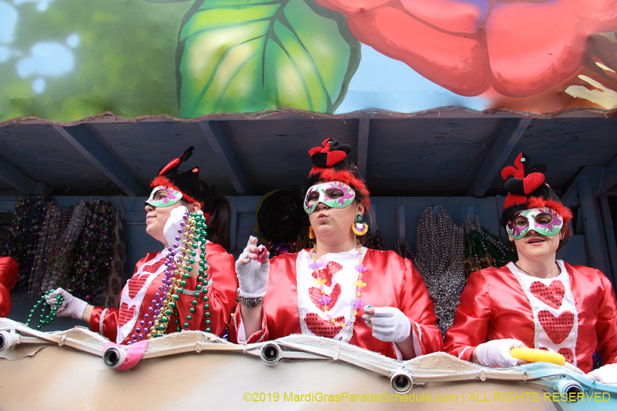 Krewe-of-Iris-2019-006623