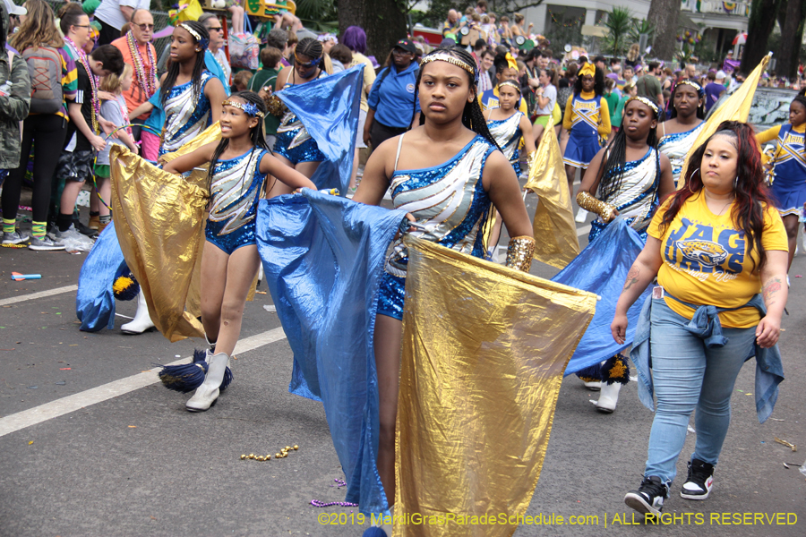 Krewe-of-Iris-2019-006626