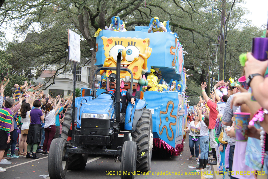 Krewe-of-Iris-2019-006627