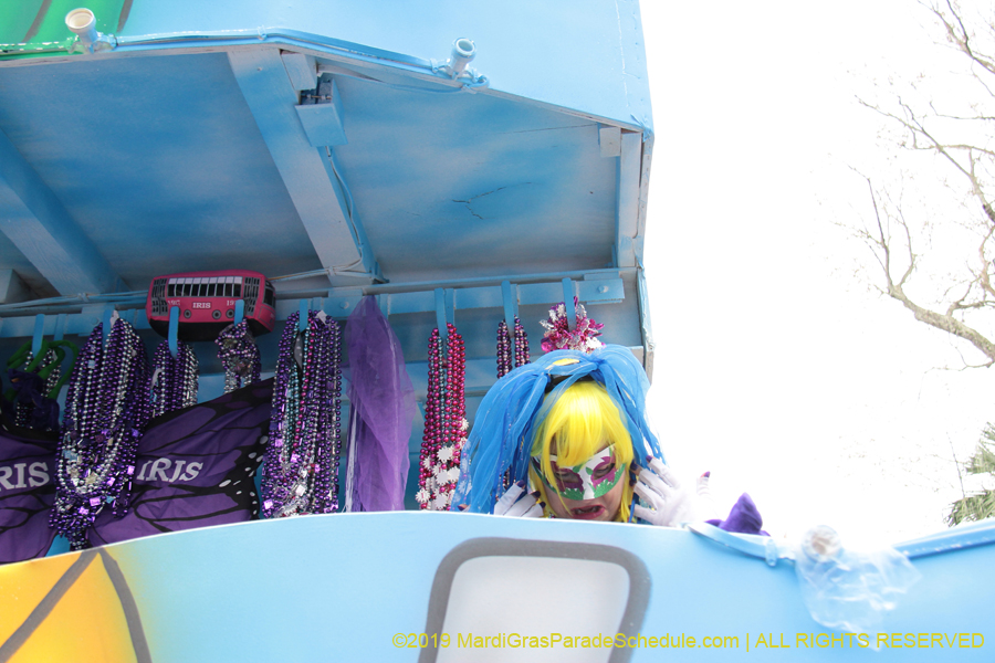 Krewe-of-Iris-2019-006633