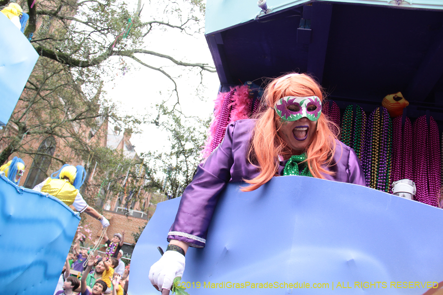 Krewe-of-Iris-2019-006635