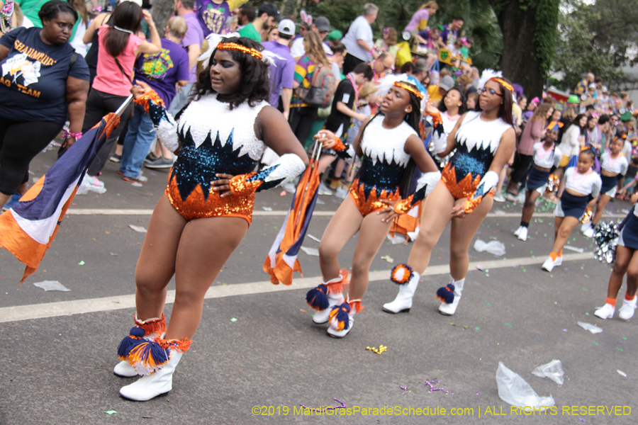 Krewe-of-Iris-2019-006649